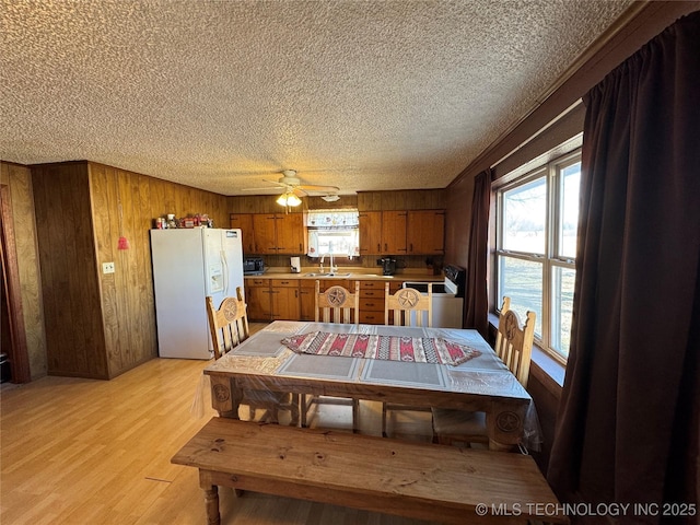 dining area with sink, light hardwood / wood-style flooring, ceiling fan, a textured ceiling, and wood walls