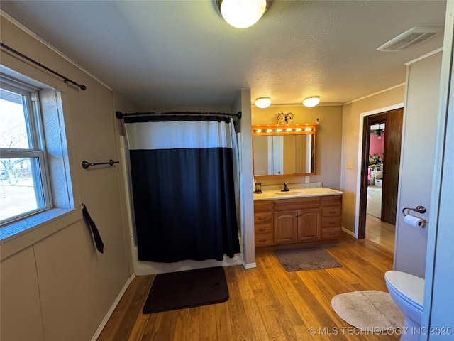 bathroom with wood-type flooring, vanity, a textured ceiling, and a shower with shower curtain