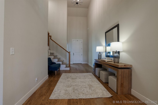 entryway featuring hardwood / wood-style flooring and a high ceiling