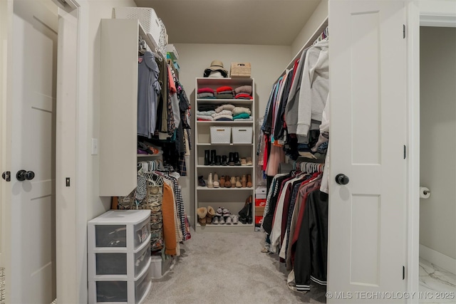 view of spacious closet