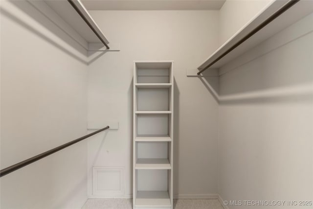 view of walk in closet