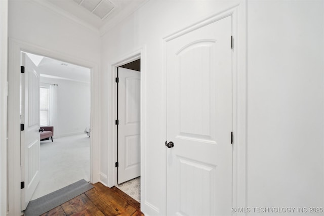 corridor with ornamental molding and wood-type flooring