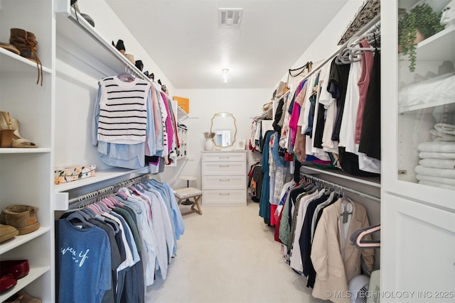 spacious closet featuring light colored carpet