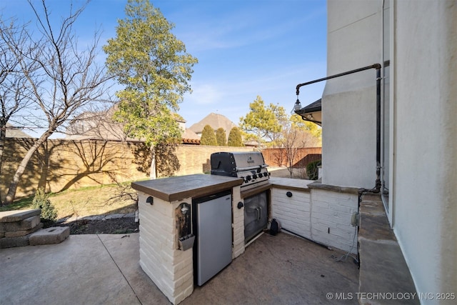 view of patio / terrace featuring exterior kitchen