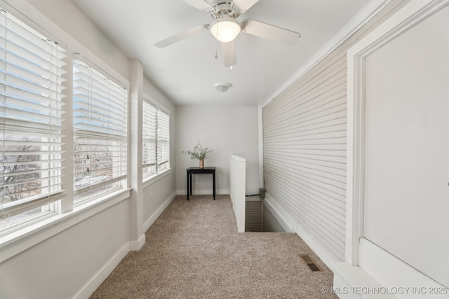 hallway with carpet floors