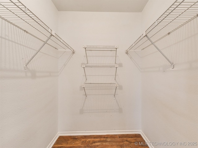 spacious closet featuring dark wood-type flooring