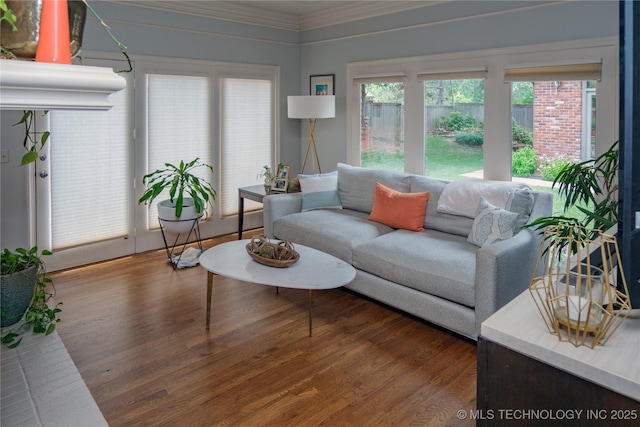 living room featuring wood-type flooring and ornamental molding