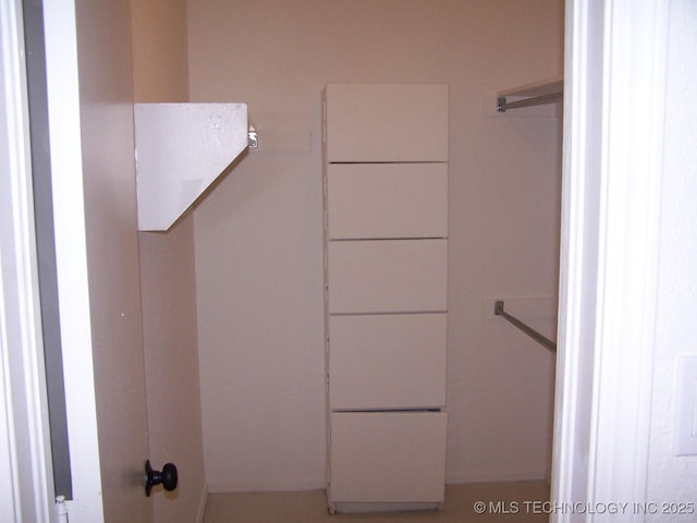 view of walk in closet