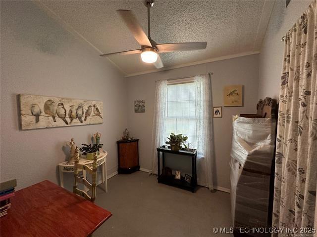 interior space featuring lofted ceiling, crown molding, ceiling fan, carpet floors, and a textured ceiling