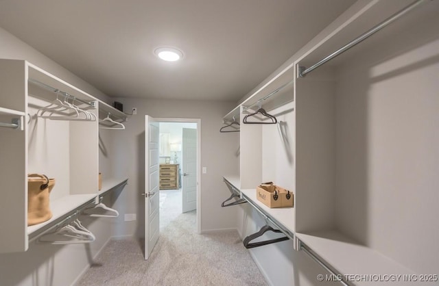 spacious closet with light colored carpet