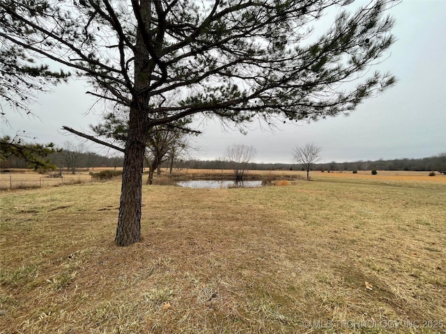 view of yard with a rural view