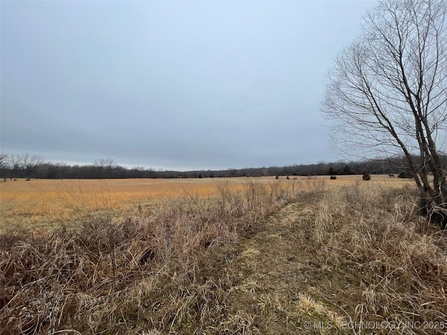 view of local wilderness with a rural view