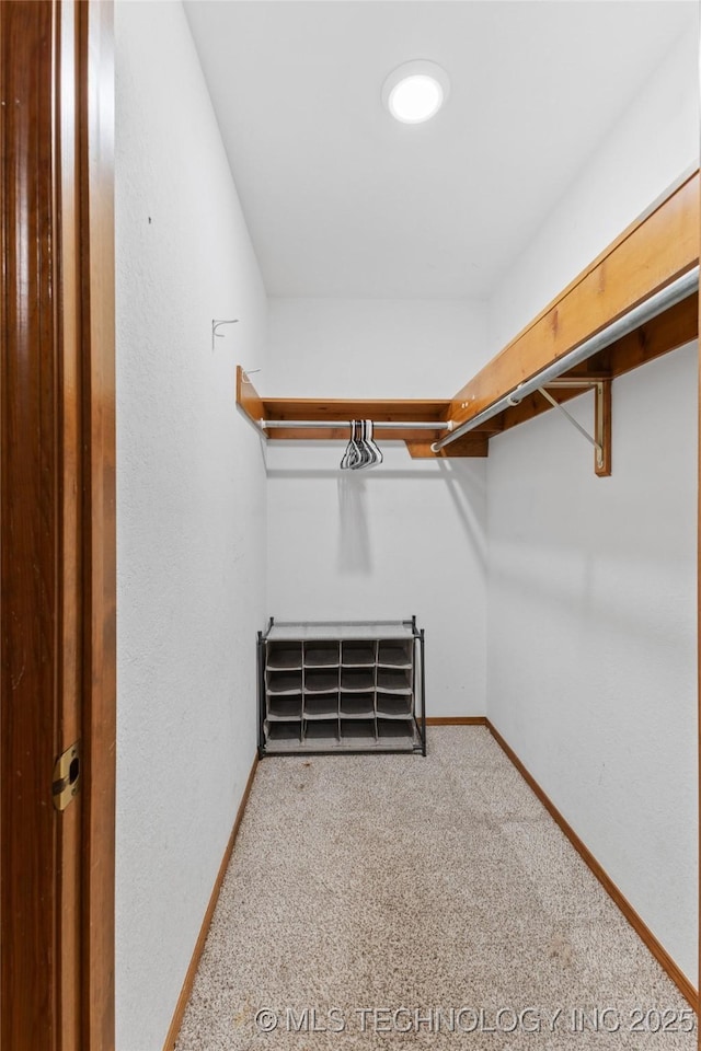 spacious closet with carpet