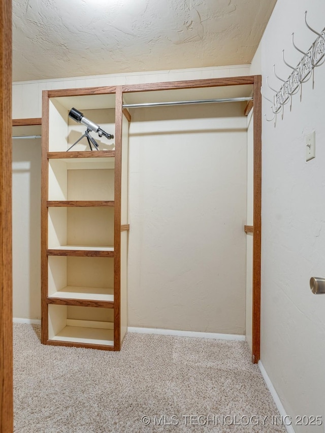 spacious closet with light colored carpet