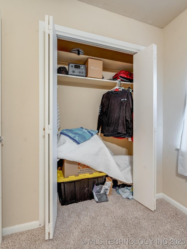 view of closet