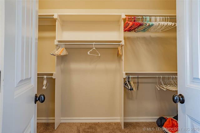 walk in closet with carpet floors