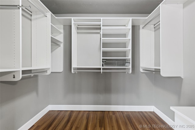 spacious closet featuring wood-type flooring