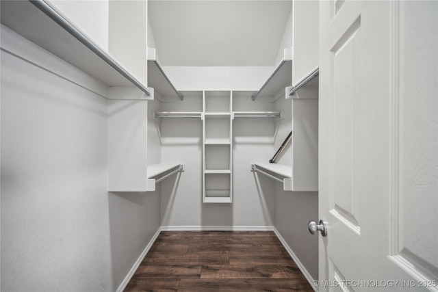 spacious closet with dark hardwood / wood-style floors