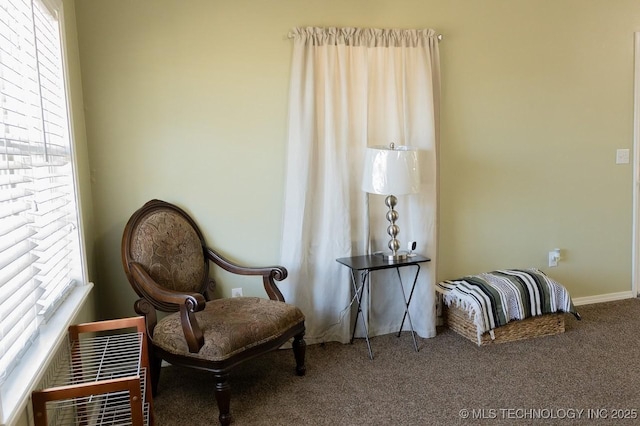 living area featuring heating unit, a wealth of natural light, and carpet