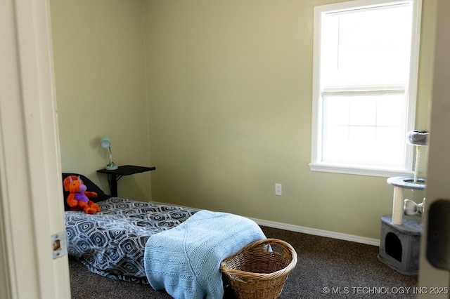 bedroom with carpet flooring