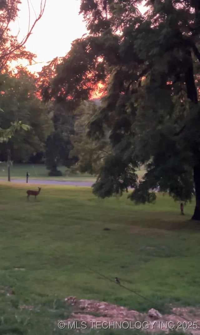 surrounding community featuring a yard