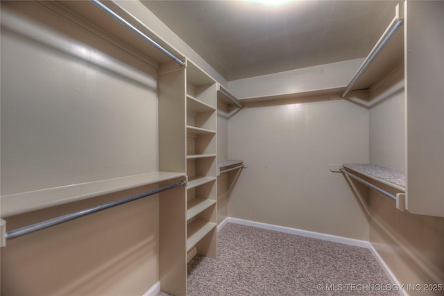 walk in closet with carpet floors