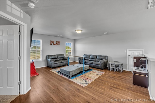 living room featuring wood-type flooring