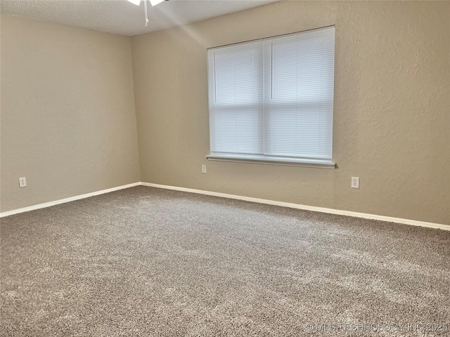 empty room featuring carpet