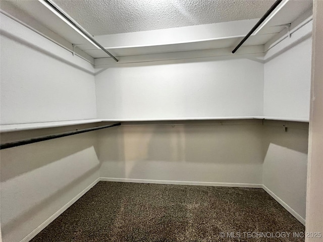 spacious closet featuring carpet