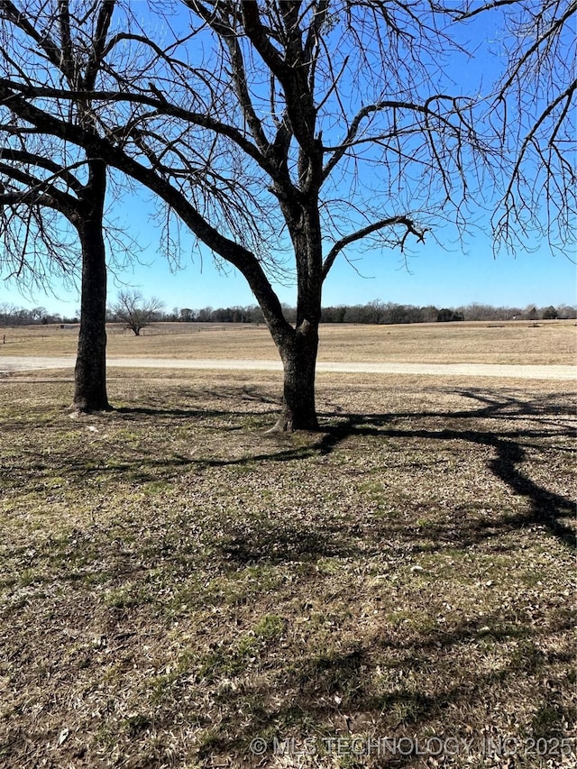 view of yard featuring a rural view