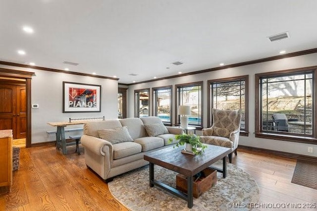 living room with light hardwood / wood-style flooring and a healthy amount of sunlight