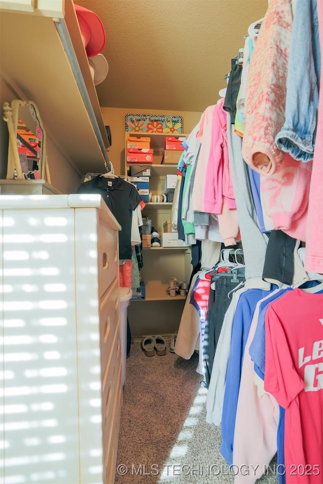 view of spacious closet