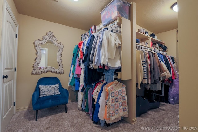 spacious closet with carpet