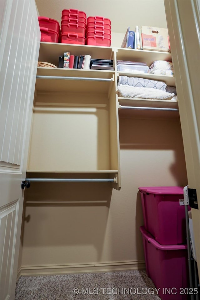 view of closet