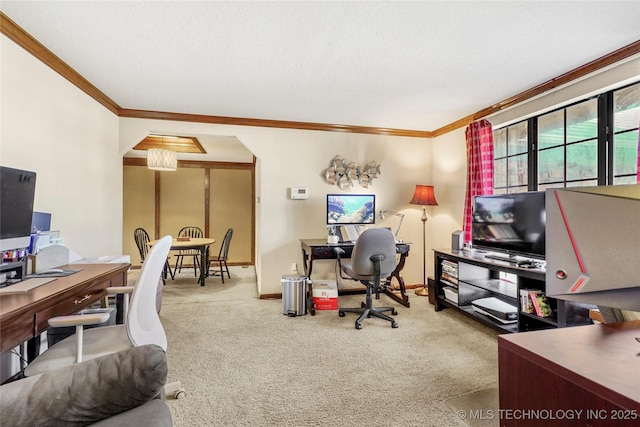 office area with crown molding, carpet, and a textured ceiling