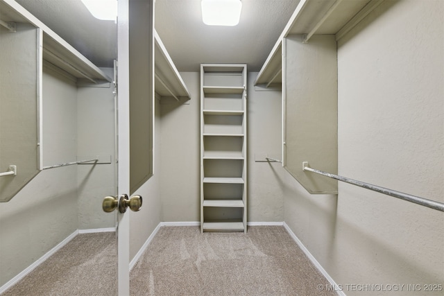 spacious closet featuring light colored carpet