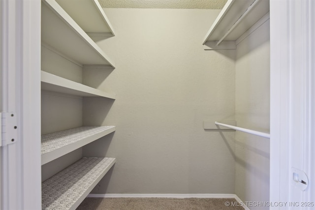 spacious closet with carpet floors