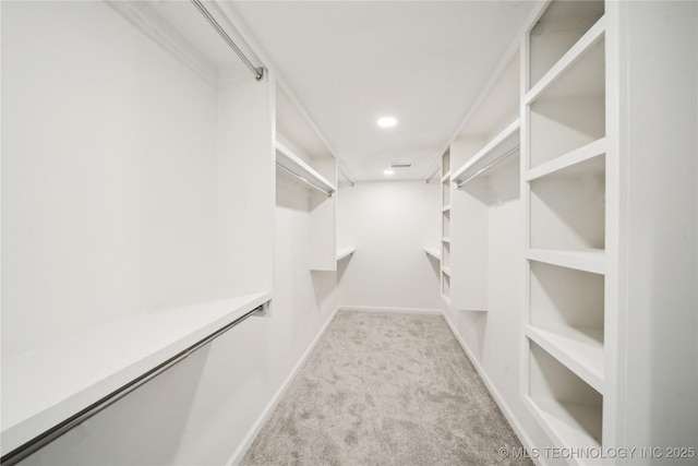 spacious closet with light carpet