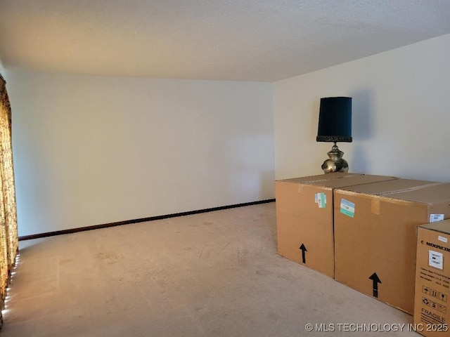 unfurnished living room with light carpet