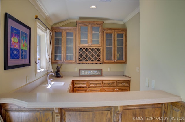 kitchen with ornamental molding, vaulted ceiling, sink, and kitchen peninsula