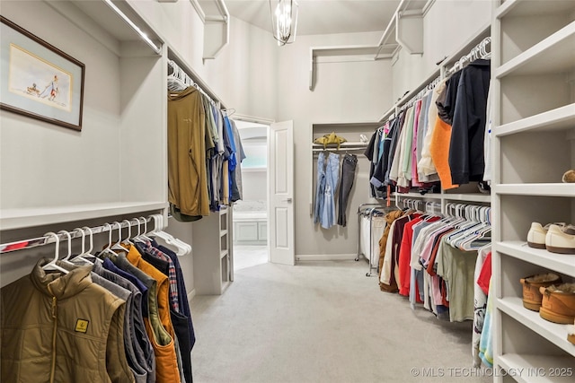 spacious closet featuring light colored carpet