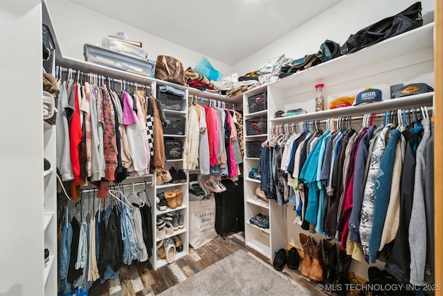 spacious closet with wood-type flooring