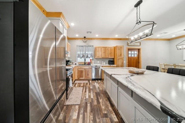 kitchen featuring dark hardwood / wood-style flooring, hanging light fixtures, stainless steel appliances, light stone countertops, and light brown cabinets