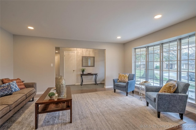 living room featuring light hardwood / wood-style floors