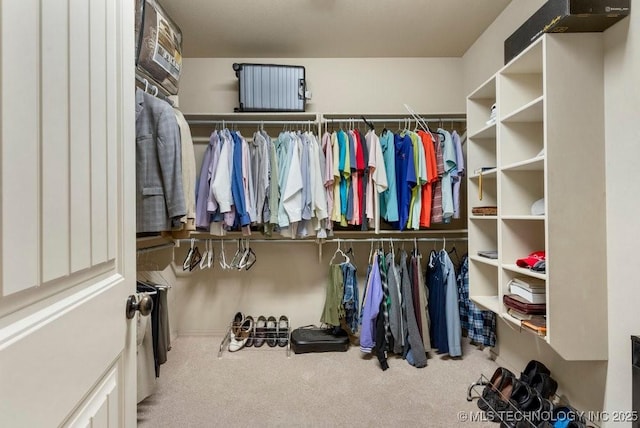 spacious closet with carpet floors