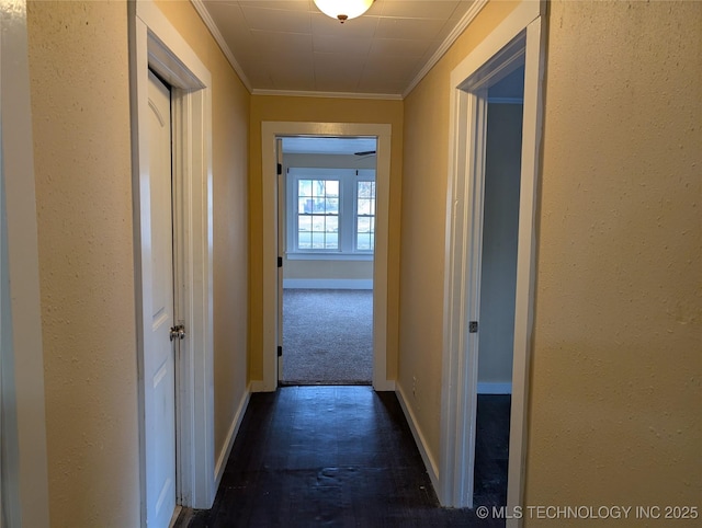 hallway with ornamental molding