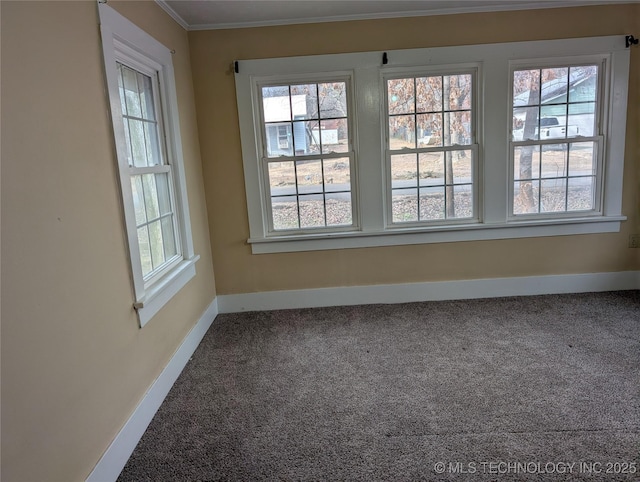 carpeted empty room with crown molding and plenty of natural light