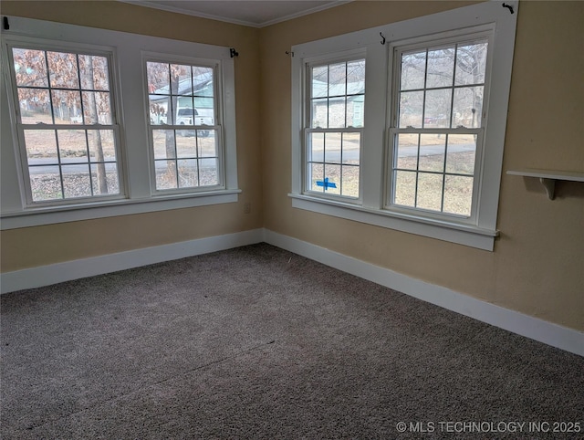 empty room with ornamental molding, carpet, and a wealth of natural light