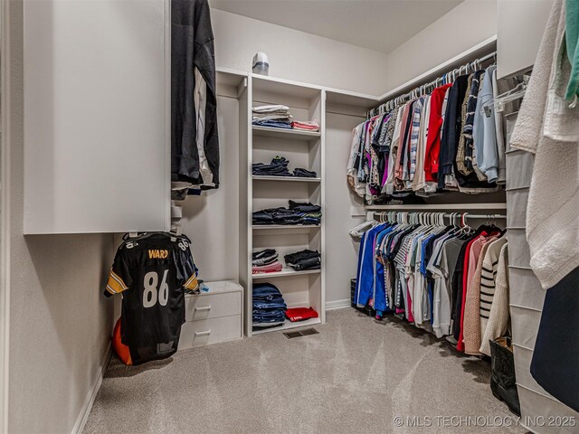 spacious closet with carpet flooring