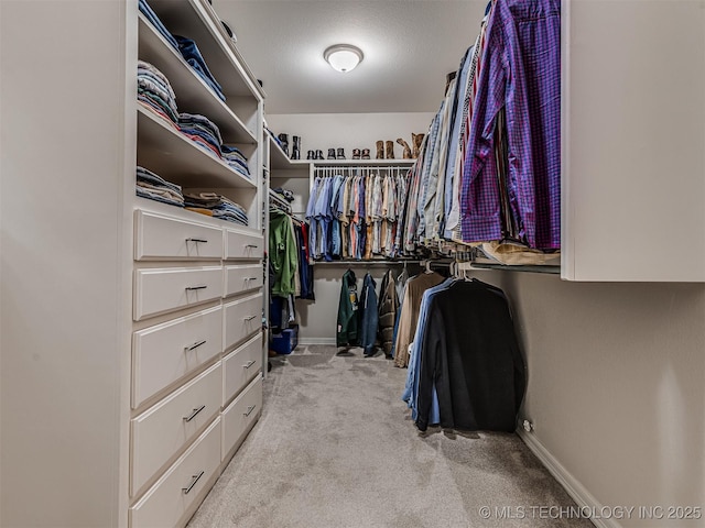 walk in closet featuring light carpet